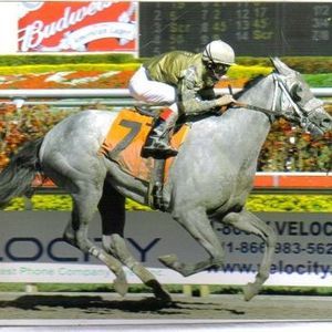 Meet your Posher, Janice